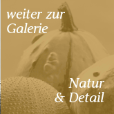 weiter zur Galerie "Natur & Detail"